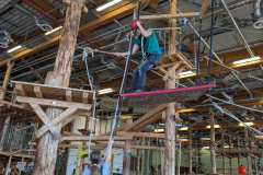 PXL_20241217_123703583.MP_