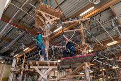 PXL_20241217_123736909