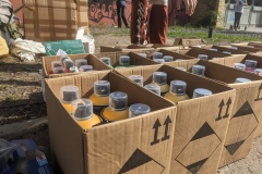 PXL_20240606_065057183