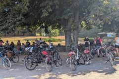 PXL_20240907_093432748 PXL_20240907_093432748