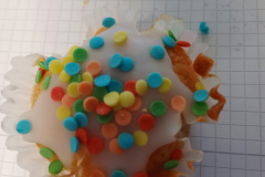 PHOTO-2024-11-26-07-25-40a