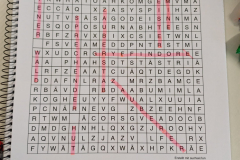 PHOTO-2024-11-26-07-25-40c